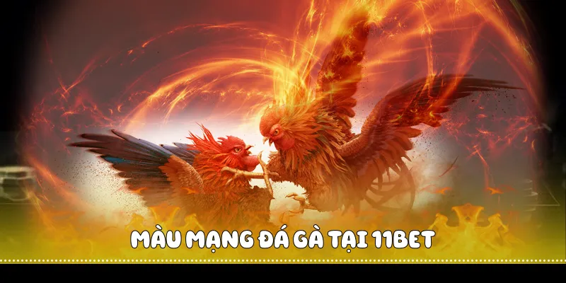 Màu mạng đá gà tại 11BET