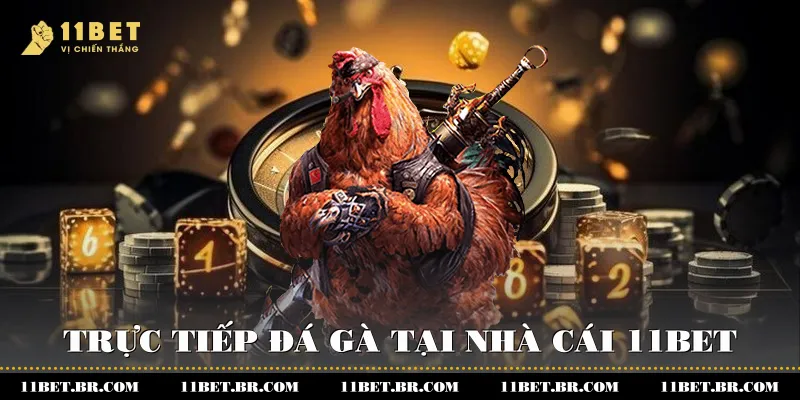 Trực tiếp đá gà tại nhà cái 11BET